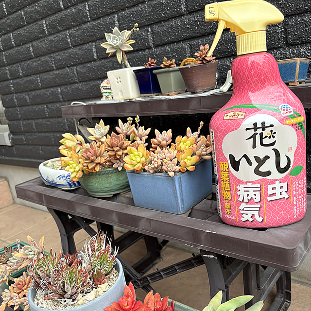 alchoさんの部屋