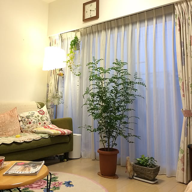 実例写真