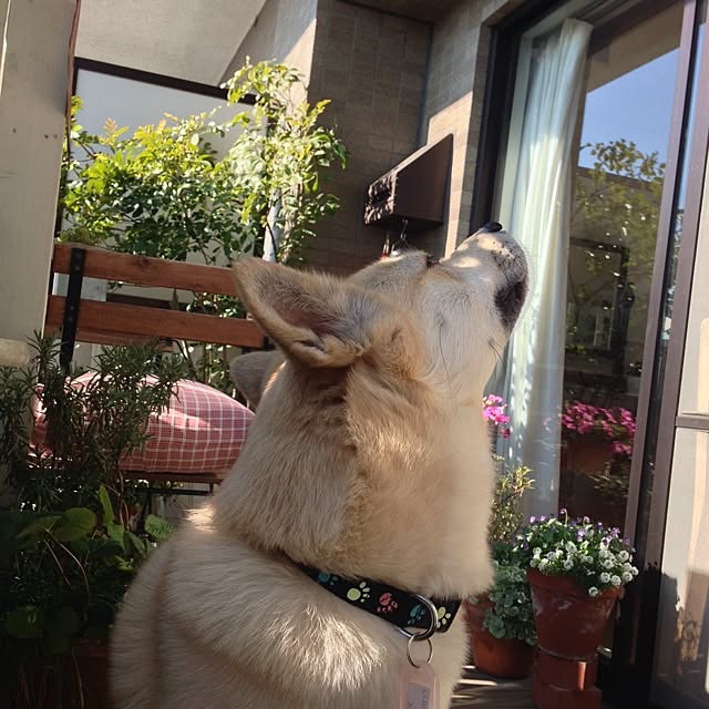 leonaさんの実例写真