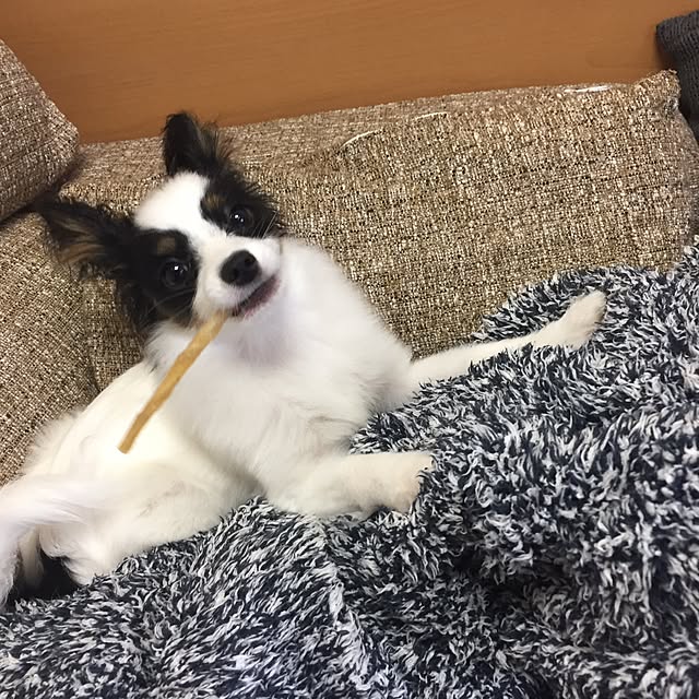 neriさんの実例写真
