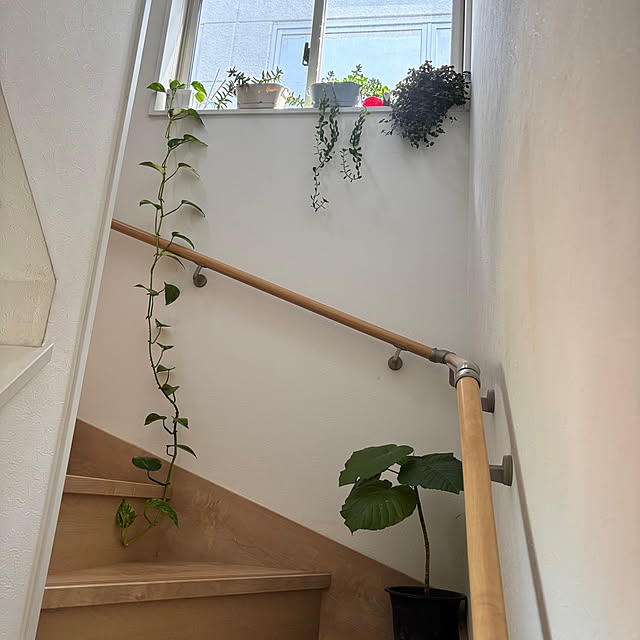rararaさんの部屋