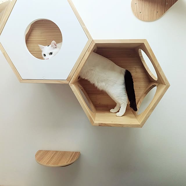 nekocatさんの部屋