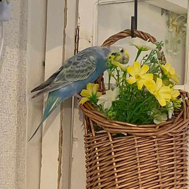 Atsukoさんの部屋
