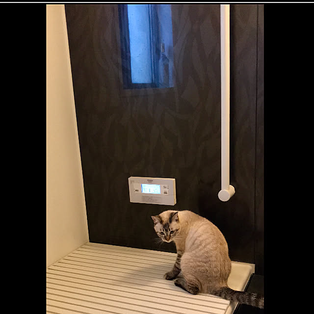 butachanさんの実例写真