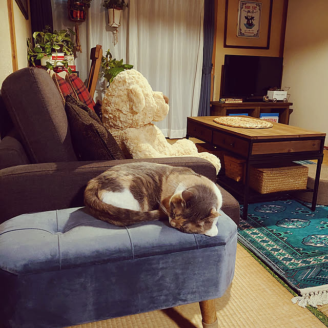 fukuさんの実例写真