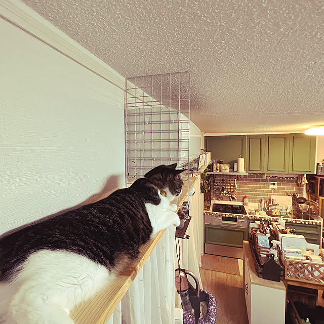 sumoanzuさんの実例写真