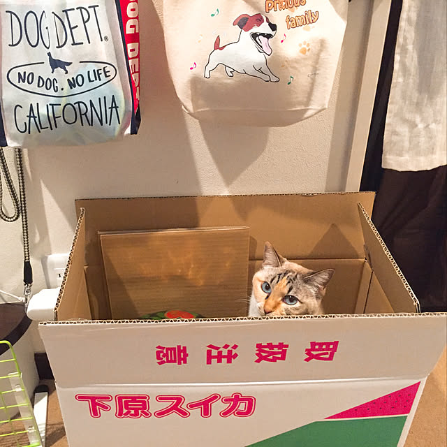 nanaさんの実例写真
