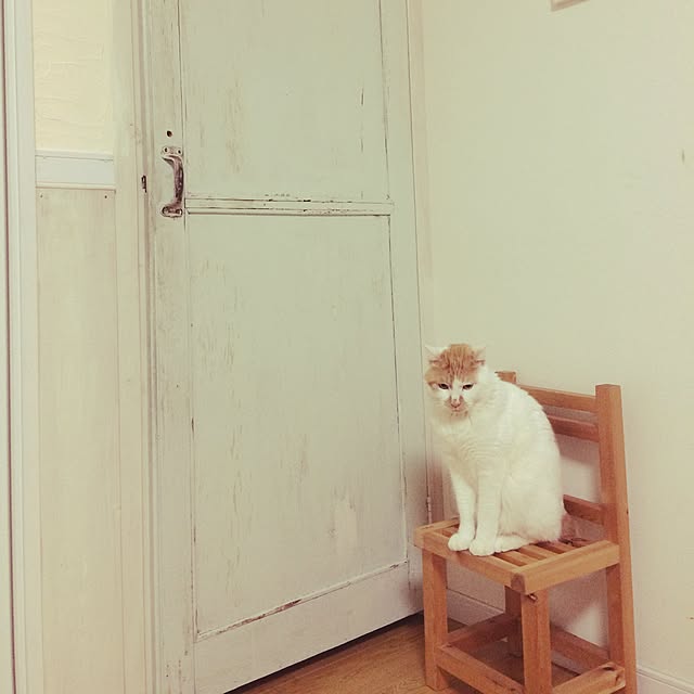 himekichiさんの実例写真