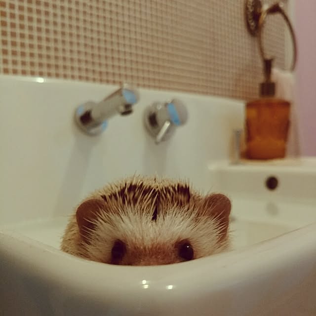 kuruさんの実例写真