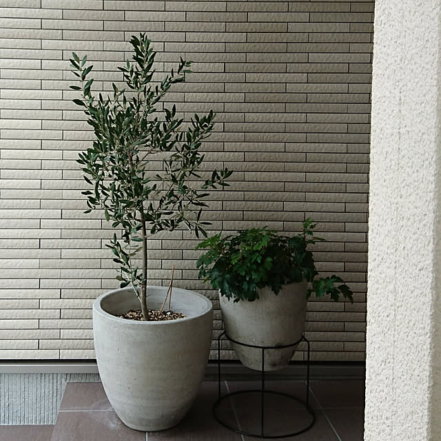 KID_Aさんの実例写真