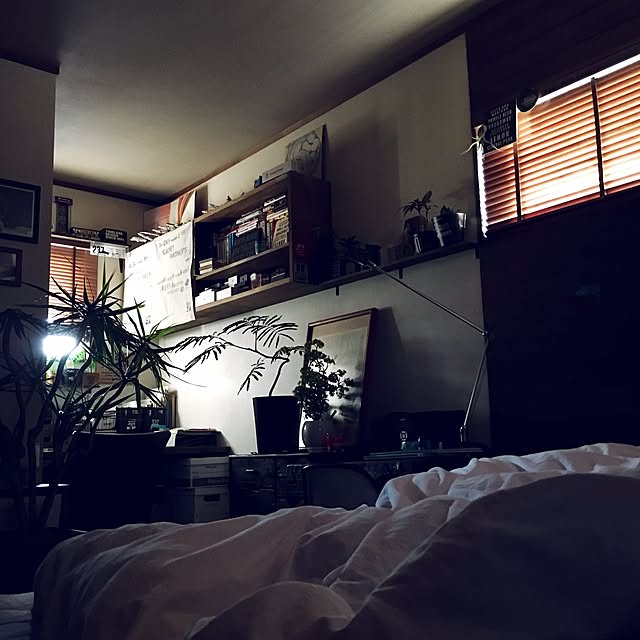 emjahさんの実例写真
