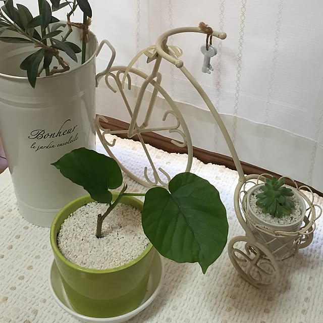 popoyukiさんの実例写真