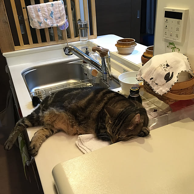 mikomaruさんの実例写真