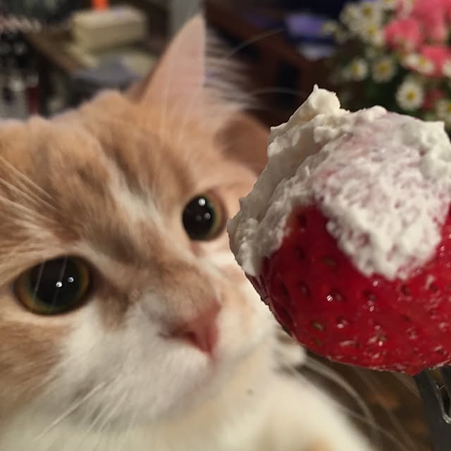 maruさんの実例写真