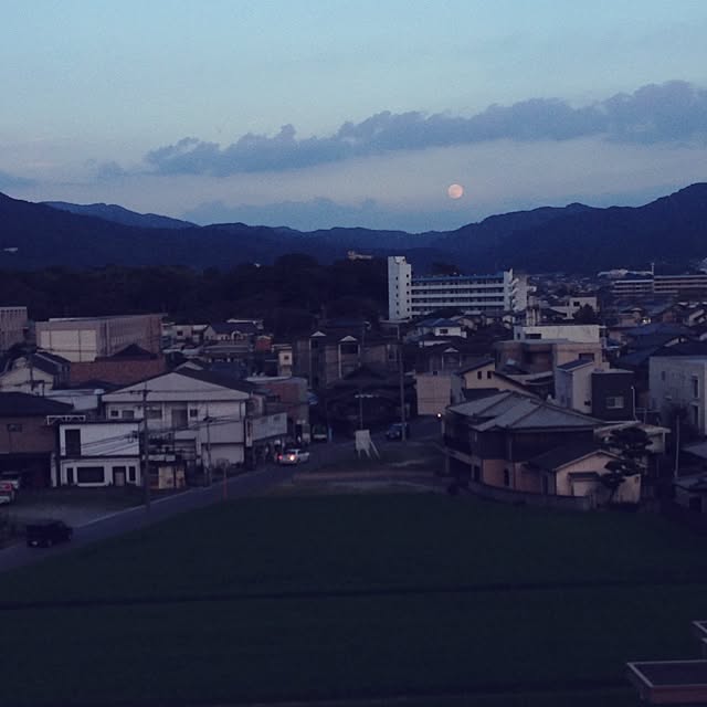 taroさんの実例写真