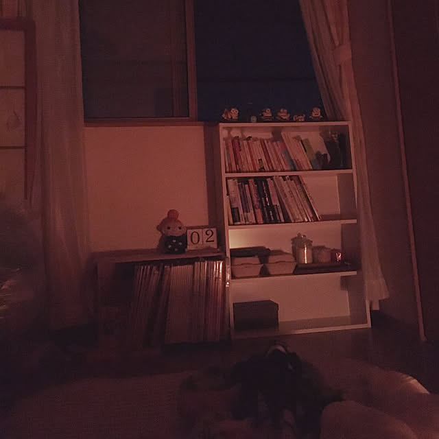 Mikaさんの実例写真