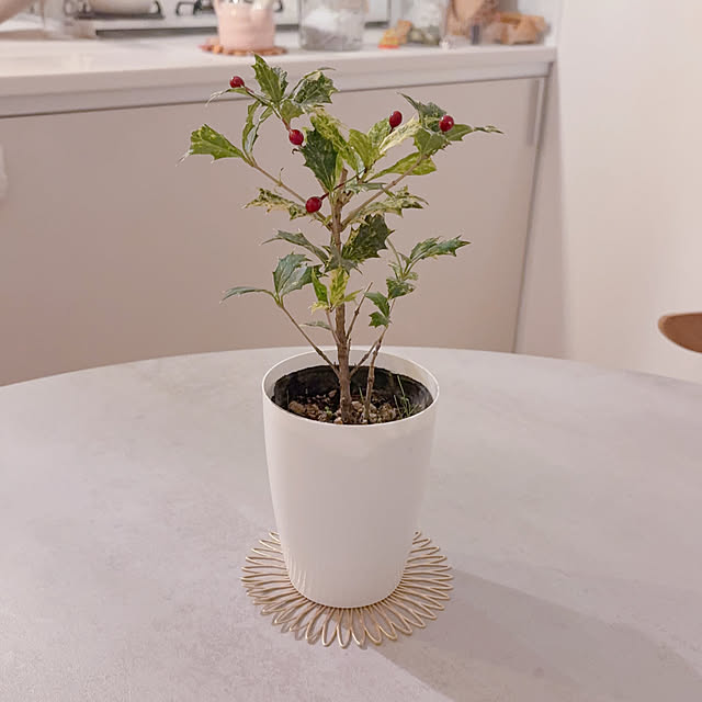 manama-maさんの実例写真