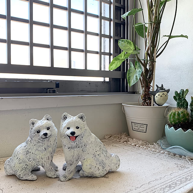 kotatsuさんの実例写真