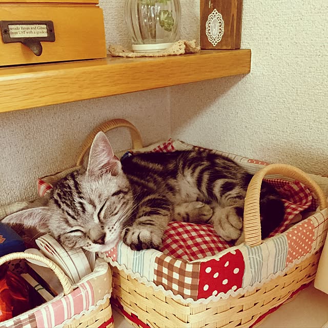 michhi_mouse_0507さんの実例写真