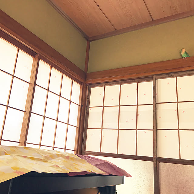 aoinokimiさんの実例写真