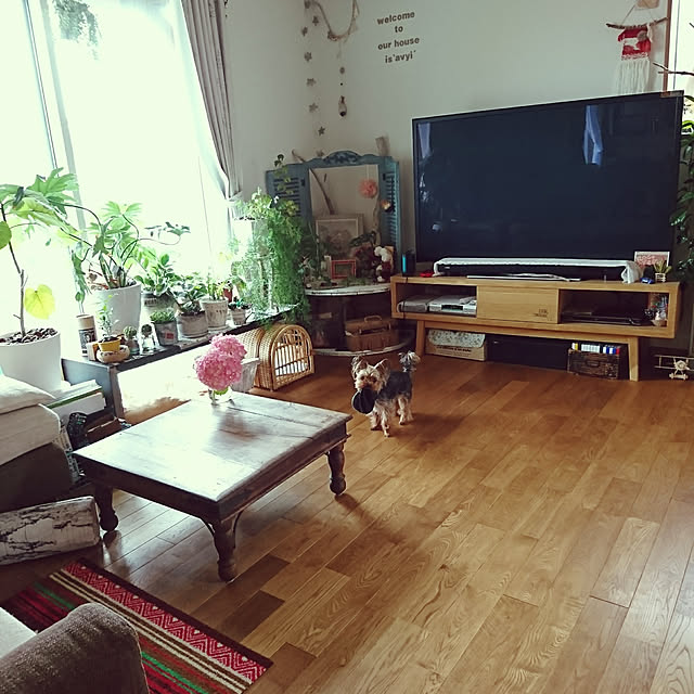 akiさんの実例写真