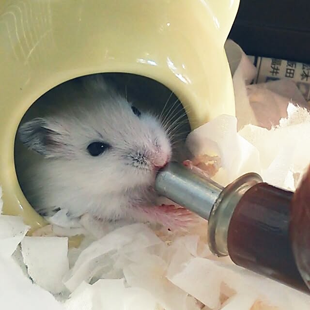miwa14さんの実例写真