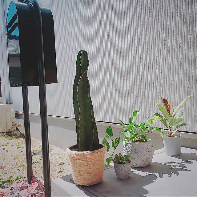 k_homeさんの実例写真