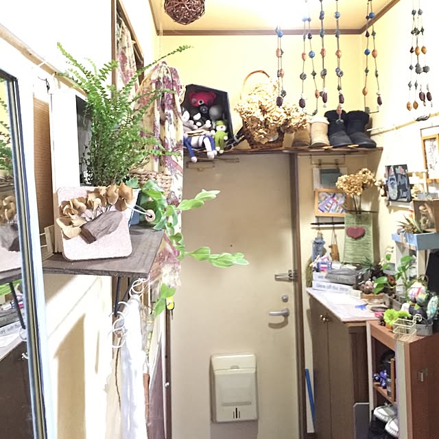 Norikoさんの実例写真
