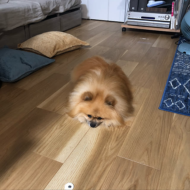 rromomo1さんの実例写真