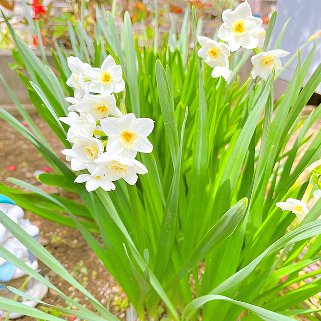 eriharuさんの部屋