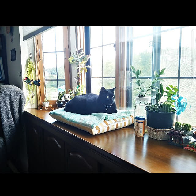 mntcさんの実例写真