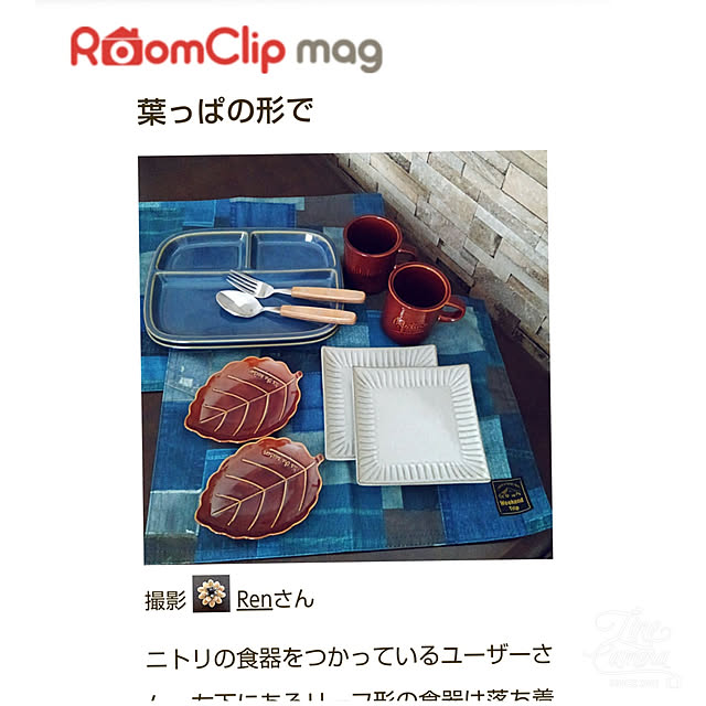 Renさんの実例写真