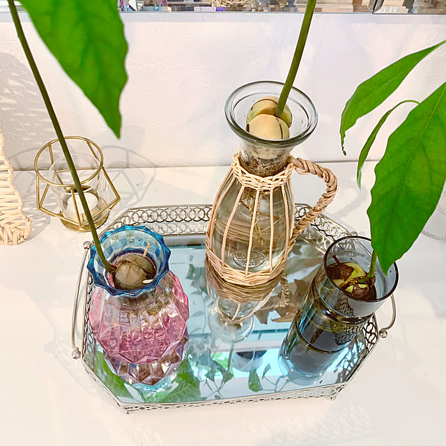 Minteaさんの部屋