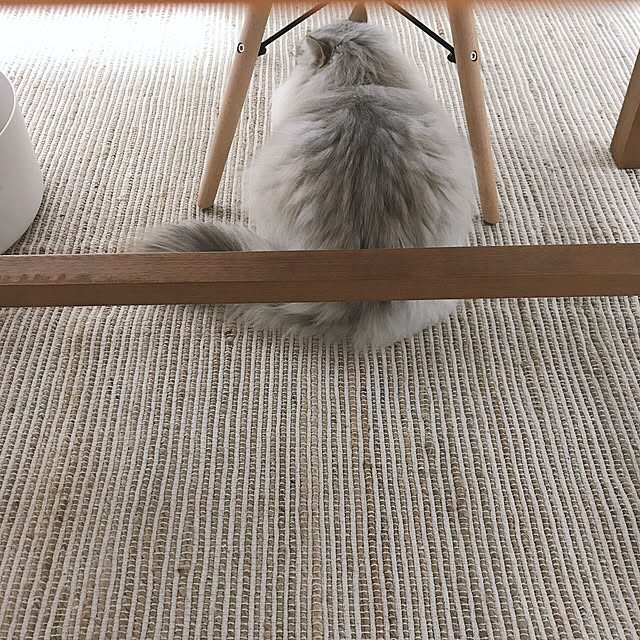 moon.mさんの実例写真