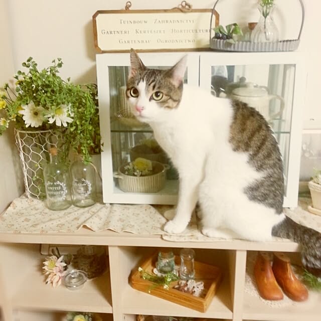 yururiragardenさんの実例写真