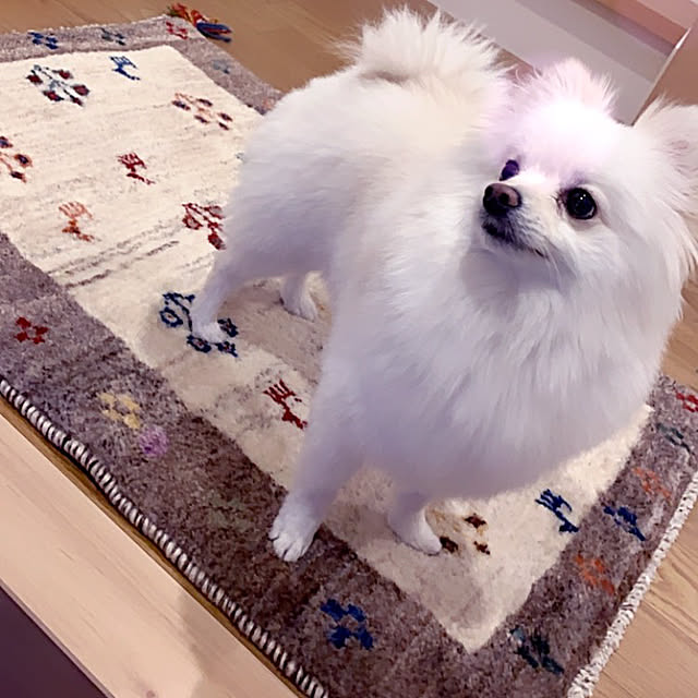 risa MARUさんの実例写真