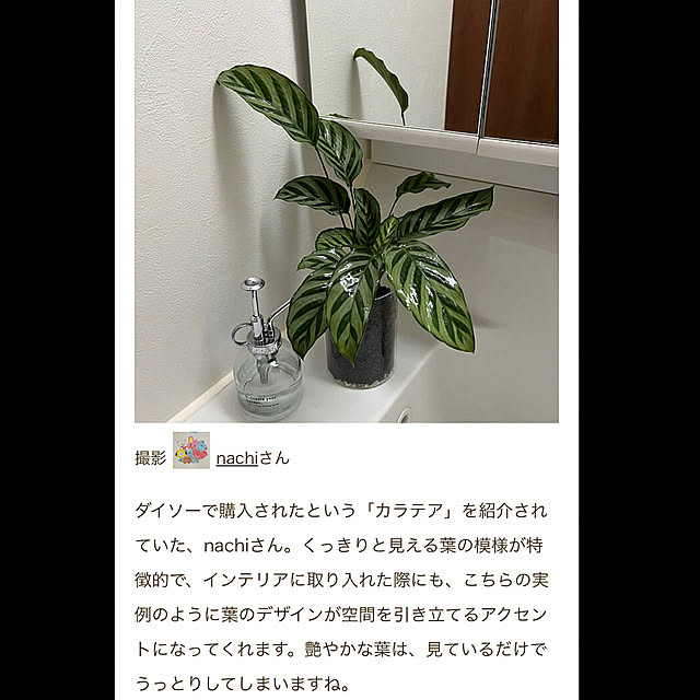 nachiさんの実例写真