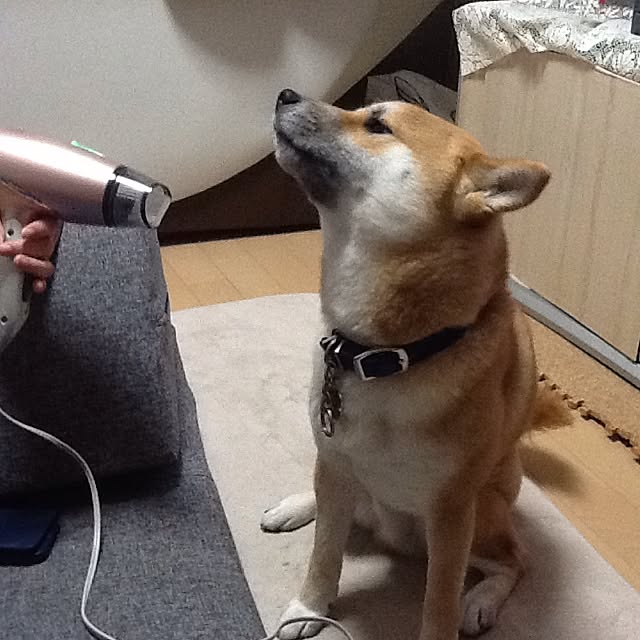 kotaさんの実例写真