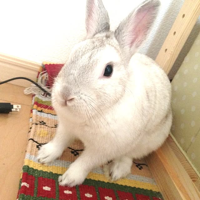 akiさんの実例写真