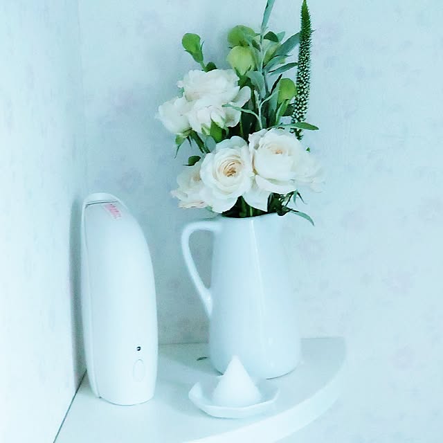 merirynさんの実例写真
