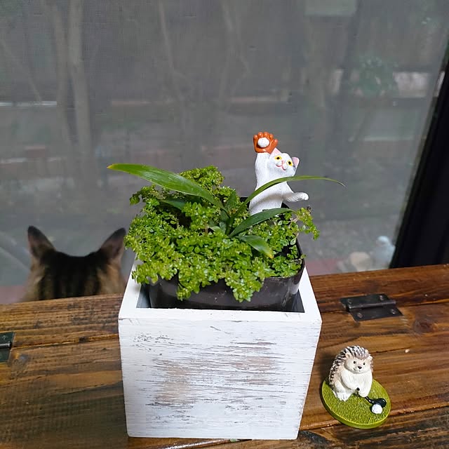 mori_6_12さんの実例写真