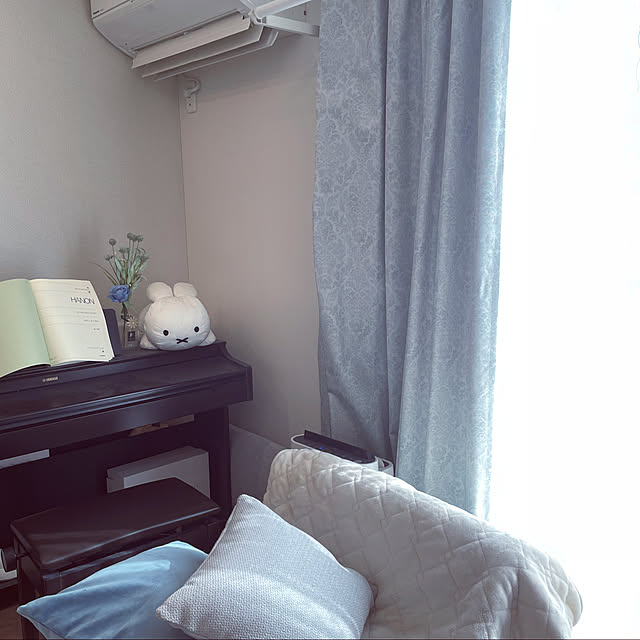 renapippiさんの実例写真