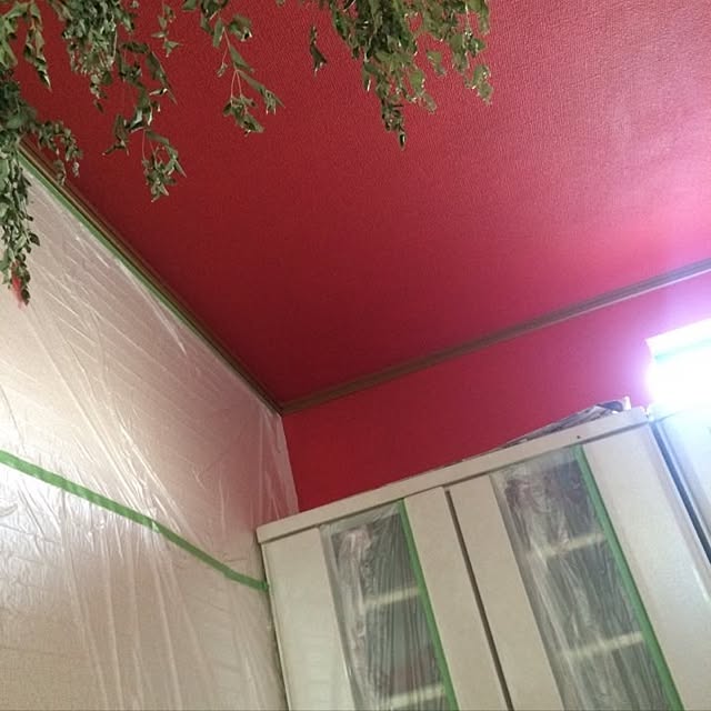 pecoさんの実例写真
