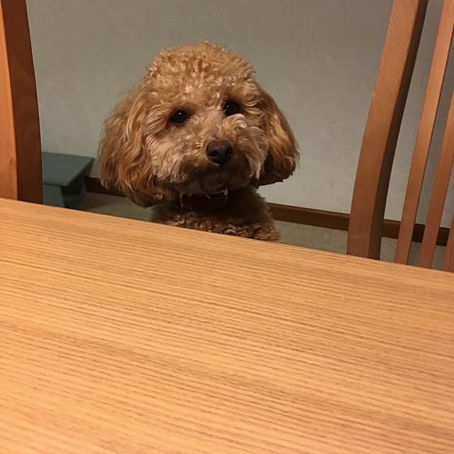 chaimomさんの実例写真