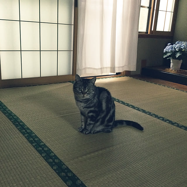 richanさんの実例写真