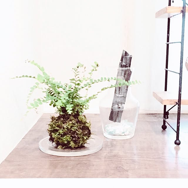 HannaGreenさんの実例写真