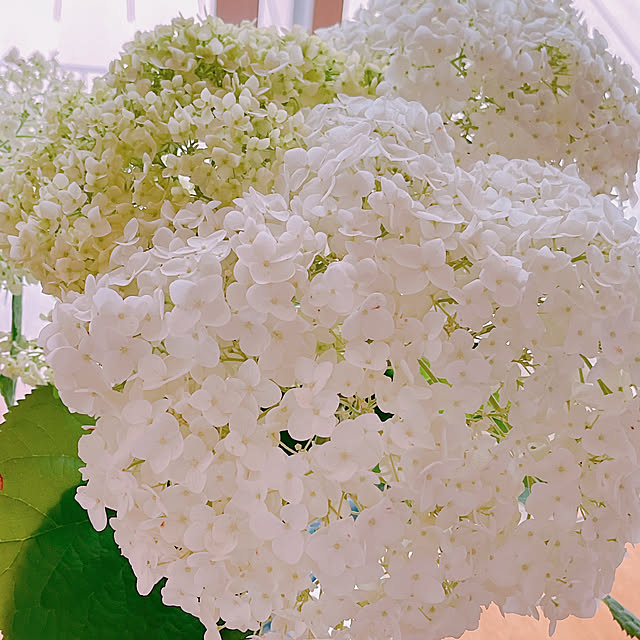 moolさんの部屋