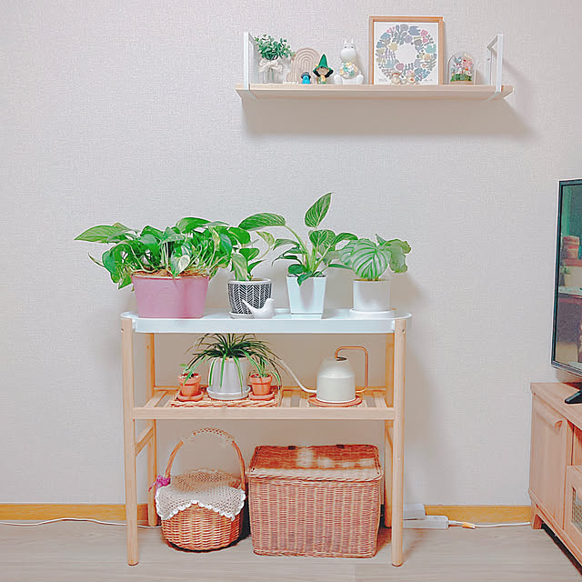 yuyuさんの実例写真