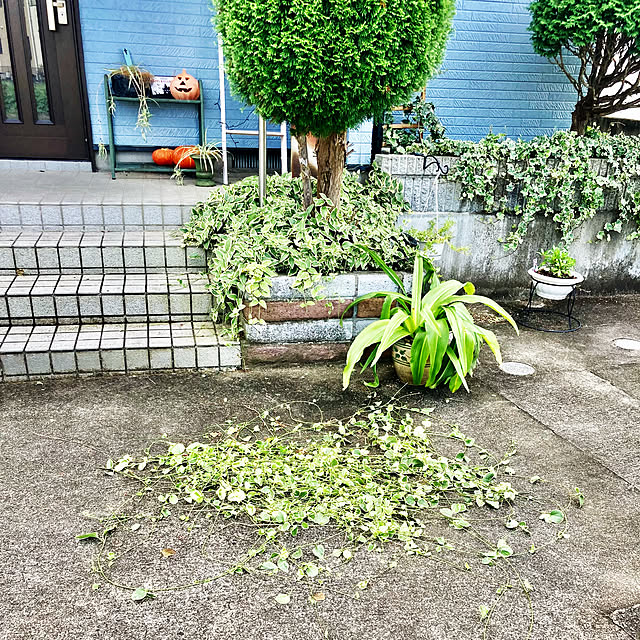 CoCo0617さんの実例写真