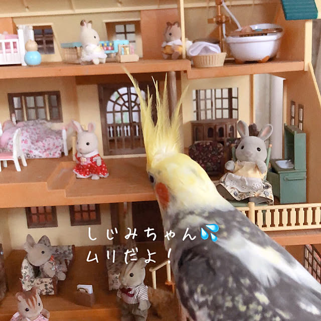 r_6cafeさんの実例写真